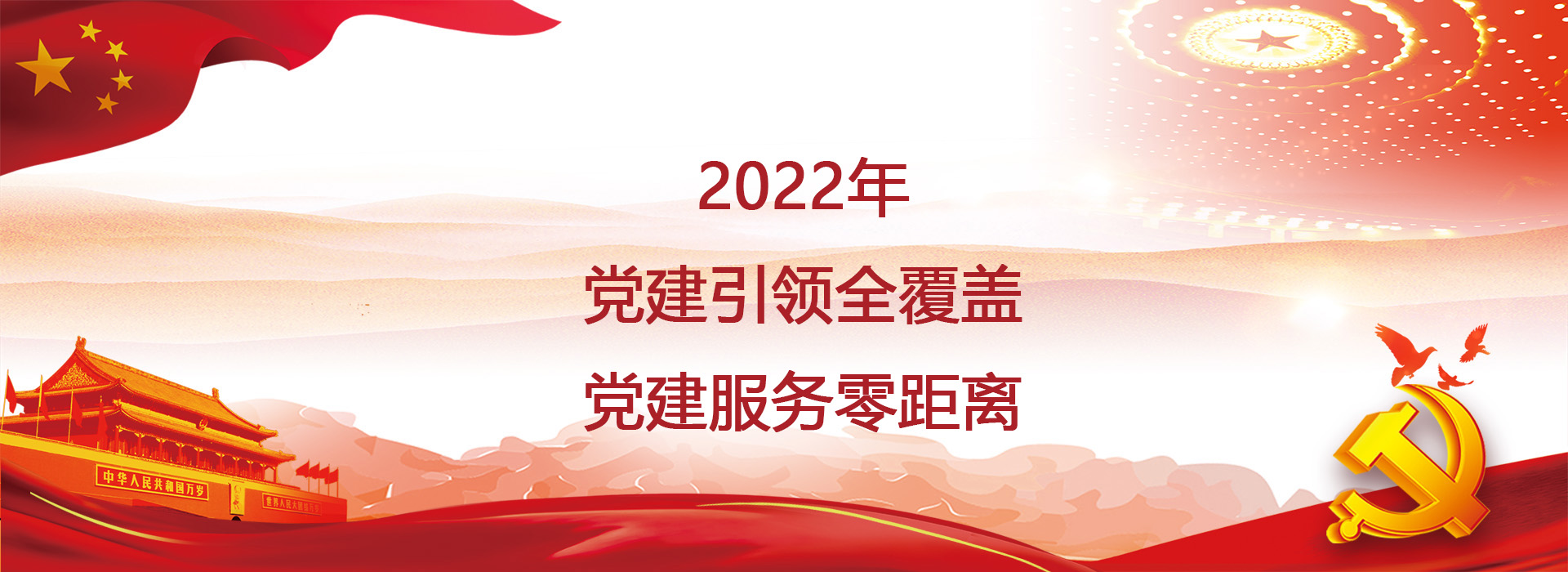 2022年 黨建引領(lǐng)全覆蓋  黨建服務(wù)零距離     ——促進(jìn)公司“穩(wěn)中求變  成果共享” 